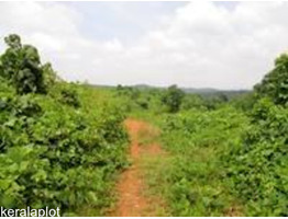 4.66 Acres of Land available for sale at Adoor, Pathanamthitta