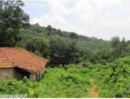 4.66 Acres of Land available for sale at Adoor, Pathanamthitta