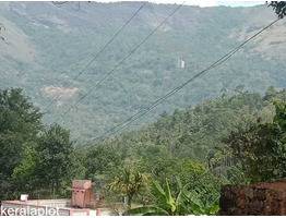 30 cent land and 1700sqft.house for sale munnar near Sengulam hydrel botting center