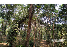 3.50 acre investment purpose land  for sale near  Padichira @ 13.50 lakh/acre.