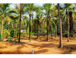 15 cent plot sale at malappuram edappal