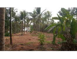 45 Cents Land For Sale Mundayad, Elayavoor, Kannur, Kerala