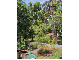 25 cents prime land on chittur road, palakkad for sale