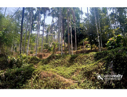 1.05 acre Resort purpose land in Manalvayal @ 25 lakh.Wayanad