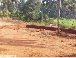 21.50 Cents Reisdential Land for sale at Eachur, Kannur