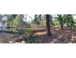 1.35 acres land for sale in Pandalam