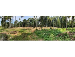 1.35 acres land for sale in Pandalam