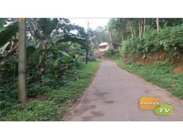 55 Cent Residential Land For Sale in Thiruvanthapuram