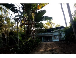 2.15 acre Agriculture land  for sale  near Padichira @ 60 lakh…..