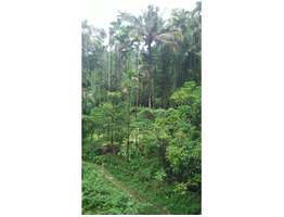 5 Acres of Agricultural land for Sale.Suitable for Farm House & Resort.