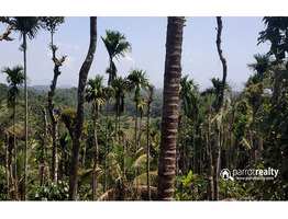 3.10 acre Resort purpose land for sale in kallody @ 30lakh/acre