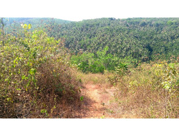 1.75 acre land for sale