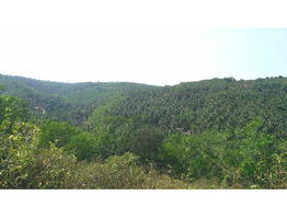 1.75 acre land for sale