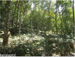 1.75 acre land for sale