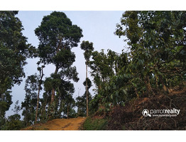 Excellent investment land in Meppadi .Wayanad