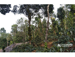 Excellent investment land in Meppadi .Wayanad