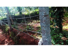 8 Cent land for sale at Thirupuram, Neyyattinkara, Thiruvananthapuram