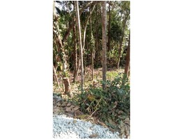 property for sale in kallayam