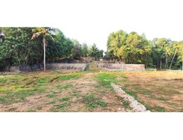 plot for sale in Thirumala