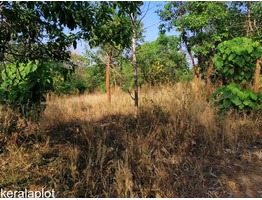 Residential land for sale Velappaya.