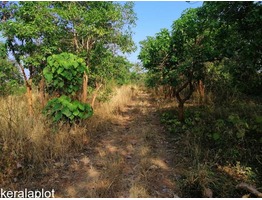 Residential land for sale Velappaya.