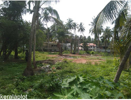 Land for Sale in Good Location