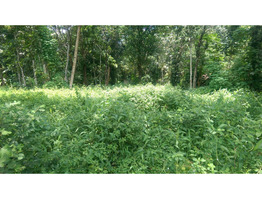 25 CENT RESIDENTIAL PLOT IN VILLAGE AREA