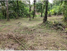 Land for Sale near Kannur International Airport