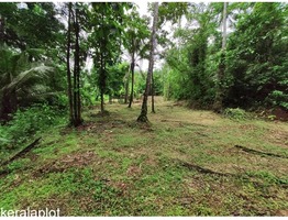 Land for Sale near Kannur International Airport