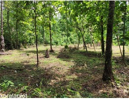 Land for Sale near Kannur International Airport