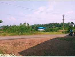 67 cents land for sale near nellithara, kanhangad in kasaragod