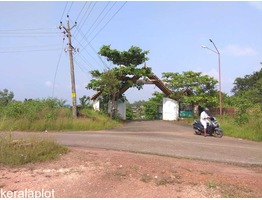 67 cents land for sale near nellithara, kanhangad in kasaragod