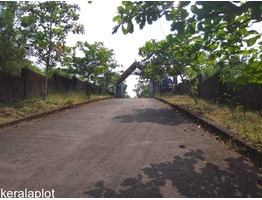 67 cents land for sale near nellithara, kanhangad in kasaragod