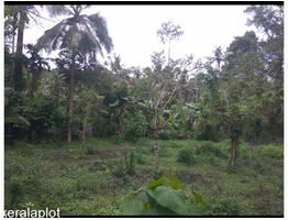 Residential Land For Sale In Karukachal. House Plot For Sale In Vettikavumkal, Kottayam.