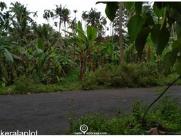 12 cent plot for sale in illathapadi. Tirur.9947444111