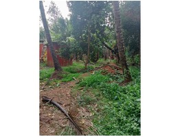 20 cents residential land for sale near  Amalanagar in Thrissur district