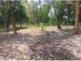 15 cents residential plot for sale at Cherpulassery