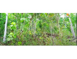 2.25 acre land for sale in vellarikundu pongachal junction