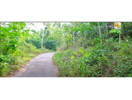 2.25 acre land for sale in vellarikundu pongachal junction