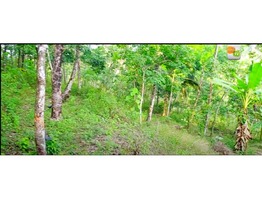 2.25 acre land for sale in vellarikundu pongachal junction