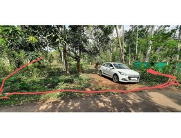 Residential Land ~20 cents near Konathukunnu, Irinjalakuda for sale