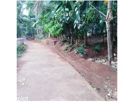 19 cents residential land for sale near  Manoor Church in Malappuram district