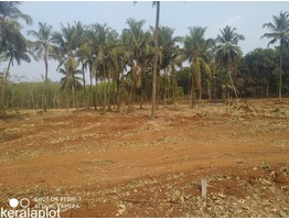 Residential Land for Sale in Elanad, Thrissur District