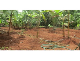 1.70 ACRE LAND AND TWO HOUSES FOR SALE AT VANIYAMKULAM, PALAKKAD