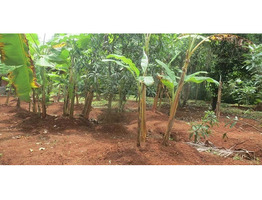 1.70 ACRE LAND AND TWO HOUSES FOR SALE AT VANIYAMKULAM, PALAKKAD