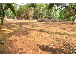 Prime Land for Sale