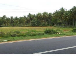 Commercial land