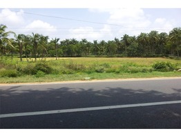 Commercial land