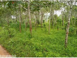 1.30 Cent Agriculture land for sale in Valad Wayanad Only 22 lakhs