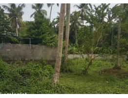 129 cents Road facing land at Valluvally